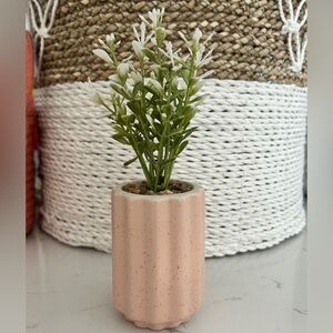 Mini Artificial Potted Plant in Pink Ribbed Ceramic Pot, 4”- NWT